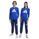 Adidas Παιδικές φόρμες σετ Essentials Big Logo French Terry Joggers Set